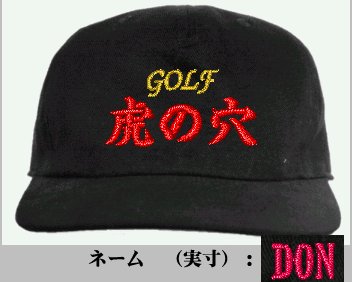 �V�~�����[�V�����摜