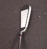 EE